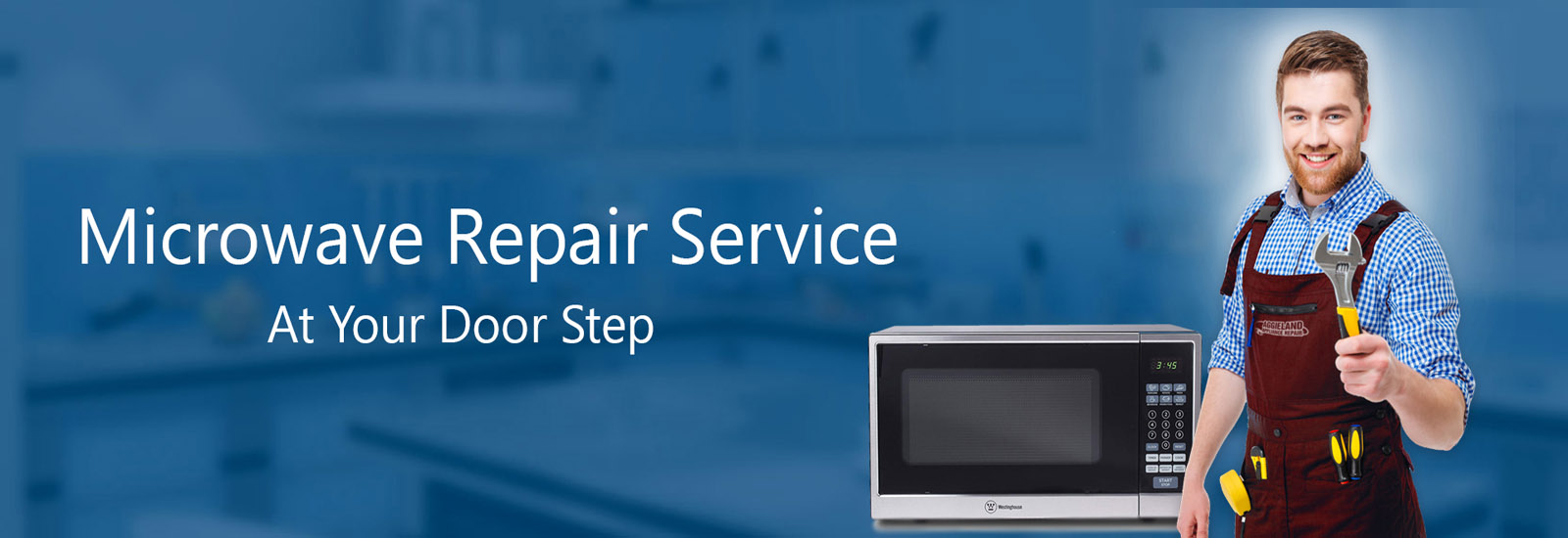 microwave-oven-repair-and-services-delhi2